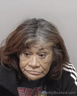 Mugshot of DORA A LOPEZ