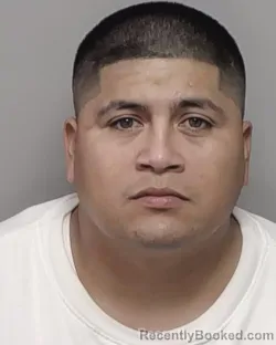 Mugshot of GUILLERMO HERNANDEZ