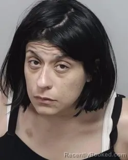 Mugshot of NATALIE N GILL