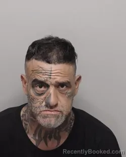 Mugshot of PETER TORRES