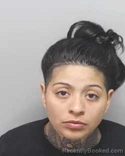 Mugshot of CORINE C REYNOSA booked in Bexar County, Texas on March 8, 2026