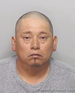 Mugshot of DAVID PECINA TOVAR booked in Bexar County, Texas on March 8, 2026