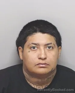 Mugshot of JESSICA M TREJO booked in Bexar County, Texas on March 9, 2026