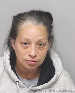 Mugshot of RENEE KLEBAHN booked in Bexar County, Texas on March 9, 2026