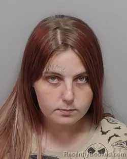 Mugshot of HAILEY R DOSTER booked in Bexar County, Texas on March 11, 2026