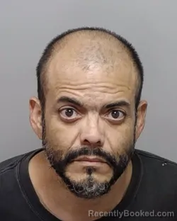 Mugshot of ANGEL PELAYO booked in Bexar County, Texas on March 11, 2026