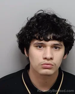 Mugshot of JOE N JR TORRES booked in Bexar County, Texas on March 12, 2026