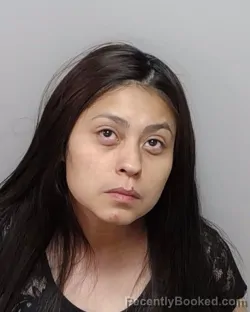 Mugshot of DANA RAMIREZ booked in Bexar County, Texas on March 13, 2026