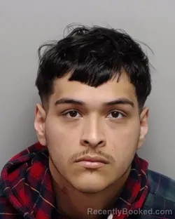 Mugshot of REI A MARTINEZ booked in Bexar County, Texas on March 13, 2026