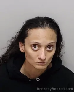 Mugshot of CELESTE N FERNANDES booked in Bexar County, Texas on March 14, 2026