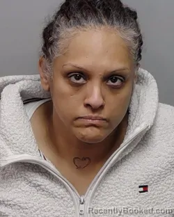 Mugshot of VERONICA L ALVA booked in Bexar County, Texas on March 14, 2026