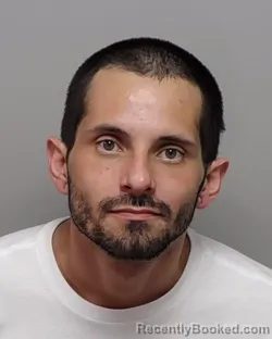 Mugshot of DAVID A JR AVALOS booked in Bexar County, Texas on March 15, 2026