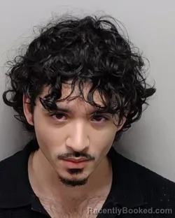 Mugshot of RENE A HERNANDEZ booked in Bexar County, Texas on March 15, 2026