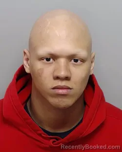 Mugshot of ADAM WILLIAMS booked in Bexar County, Texas on March 16, 2026