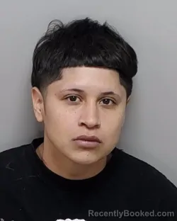 Mugshot of AMBER R RUIZ booked in Bexar County, Texas on March 16, 2026