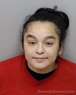 Mugshot of RACHEL M APAEZ booked in Bexar County, Texas on March 16, 2026