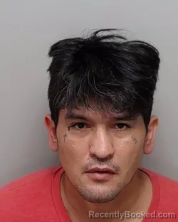 Mugshot of RAYMOND A SALINAS booked in Bexar County, Texas on March 18, 2026