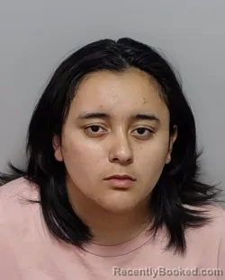 Mugshot of ROSALIE A MACHUCA CARRION booked in Bexar County, Texas on March 19, 2026