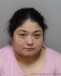 Mugshot of YOLANDA J HERRERA SALINAS booked in Bexar County, Texas on March 20, 2026