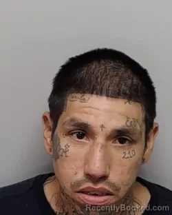 Mugshot of GEORGE R PALOMINO booked in Bexar County, Texas on March 31, 2026