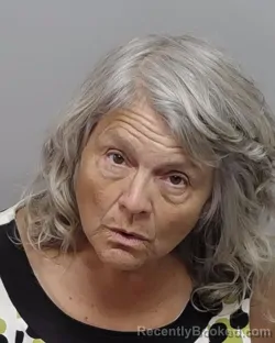 Mugshot of EMELINA M OVERBY booked in Bexar County, Texas on March 31, 2026