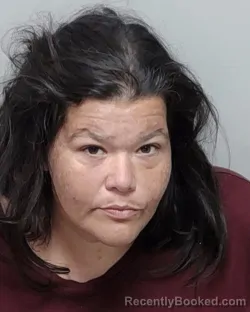 Mugshot of ANGELINE M GALVAN booked in Bexar County, Texas on April 1, 2026