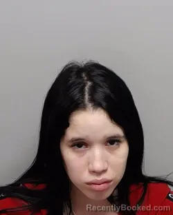 Mugshot of MARIA V MARVAL PEREZ booked in Bexar County, Texas on April 1, 2026