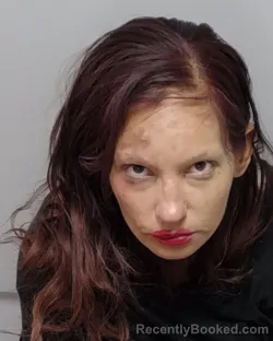 Mugshot of ALEXIS C SARABIA booked in Bexar County, Texas on April 1, 2026