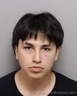 Mugshot of PEJA S WEED booked in Bexar County, Texas on April 1, 2026