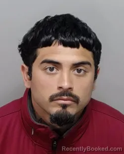 Mugshot of DOMINICK R PORRAS booked in Bexar County, Texas on April 1, 2026