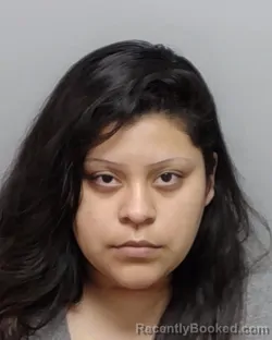 Mugshot of AMERICA ROJAS booked in Bexar County, Texas on April 1, 2026