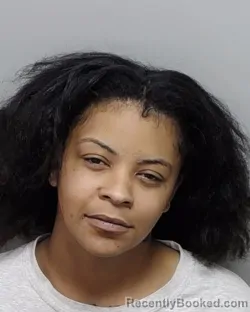 Mugshot of AELLYSSA K TIPPENS booked in Bexar County, Texas on April 1, 2026