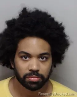 Mugshot of KEANU O LEE booked in Bexar County, Texas on April 1, 2026