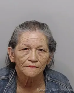 Mugshot of MARIA I LLAMAS booked in Bexar County, Texas on April 2, 2026