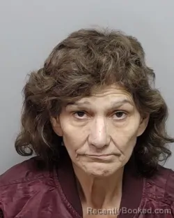 Mugshot of MARY L MAHAN booked in Bexar County, Texas on April 2, 2026