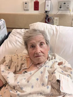 Mugshot of ESTHER A BRISENDINE booked in Bexar County, Texas on April 2, 2026