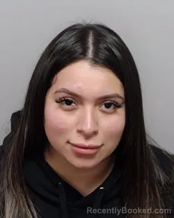 Mugshot of LIZ M SERRANO booked in Bexar County, Texas on April 3, 2026