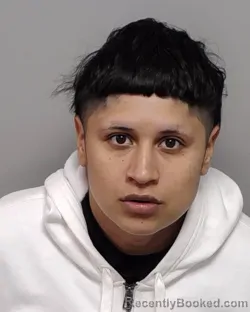 Mugshot of AMBER R RUIZ booked in Bexar County, Texas on April 2, 2026