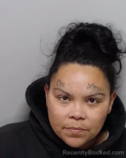 Mugshot of LINDSEY L HERNANDEZ booked in Bexar County, Texas on April 2, 2026