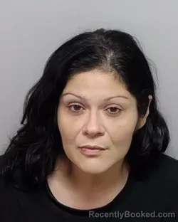 Mugshot of LUCY A REYES booked in Bexar County, Texas on April 3, 2026