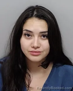 Mugshot of KATELYN B WILLARS booked in Bexar County, Texas on April 3, 2026