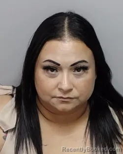 Mugshot of LINDA A HERNANDEZ booked in Bexar County, Texas on April 3, 2026