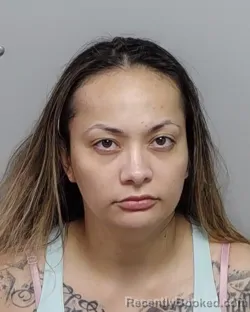 Mugshot of GABRIELA R RUBINCHAK booked in Bexar County, Texas on April 4, 2026