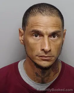 Mugshot of DOMINIQUE A MITCHELL booked in Bexar County, Texas on April 4, 2026