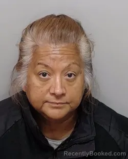 Mugshot of CYNTHIA A CASTILLO booked in Bexar County, Texas on April 4, 2026