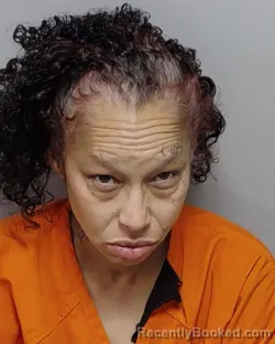 Mugshot of JESSICA M GONZALEZ booked in Bexar County, Texas on April 4, 2026