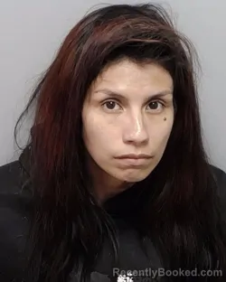 Mugshot of ASHLEY A MEDINA booked in Bexar County, Texas on April 4, 2026