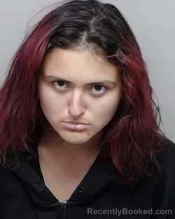 Mugshot of ISABELLA M GAMBINO GIBSON booked in Bexar County, Texas on April 4, 2026