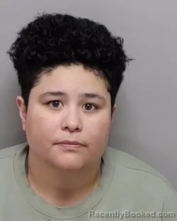 Mugshot of DARLENE A GARCIA booked in Bexar County, Texas on April 4, 2026