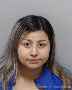 Mugshot of ARIEL N CANET booked in Bexar County, Texas on April 4, 2026